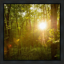 Load image into Gallery viewer, The Morning Breaks
