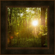 Load image into Gallery viewer, The Morning Breaks
