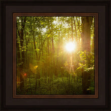 Load image into Gallery viewer, The Morning Breaks
