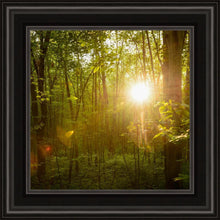 Load image into Gallery viewer, The Morning Breaks
