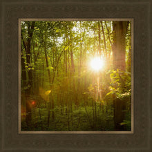 Load image into Gallery viewer, The Morning Breaks
