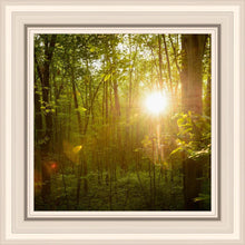 Load image into Gallery viewer, The Morning Breaks
