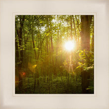 Load image into Gallery viewer, The Morning Breaks
