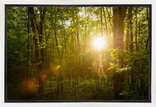 Load image into Gallery viewer, The Morning Breaks
