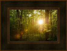 Load image into Gallery viewer, The Morning Breaks
