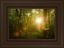 Load image into Gallery viewer, The Morning Breaks

