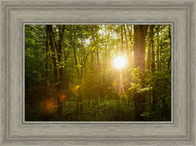 Load image into Gallery viewer, The Morning Breaks
