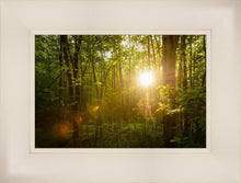 Load image into Gallery viewer, The Morning Breaks
