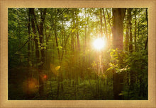 Load image into Gallery viewer, The Morning Breaks
