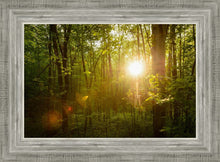 Load image into Gallery viewer, The Morning Breaks
