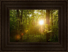 Load image into Gallery viewer, The Morning Breaks
