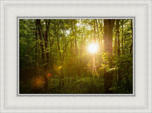 Load image into Gallery viewer, The Morning Breaks
