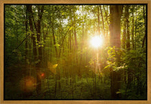 Load image into Gallery viewer, The Morning Breaks

