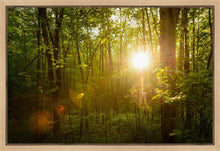 Load image into Gallery viewer, The Morning Breaks
