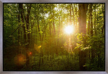 Load image into Gallery viewer, The Morning Breaks
