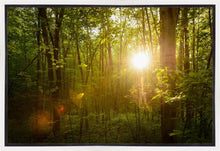 Load image into Gallery viewer, The Morning Breaks
