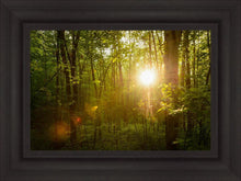 Load image into Gallery viewer, The Morning Breaks
