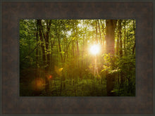 Load image into Gallery viewer, The Morning Breaks
