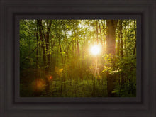 Load image into Gallery viewer, The Morning Breaks
