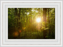 Load image into Gallery viewer, The Morning Breaks
