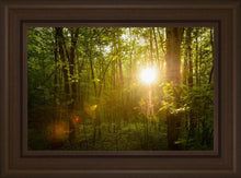 Load image into Gallery viewer, The Morning Breaks
