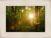 Load image into Gallery viewer, The Morning Breaks
