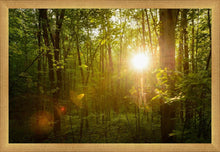 Load image into Gallery viewer, The Morning Breaks
