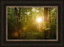 Load image into Gallery viewer, The Morning Breaks
