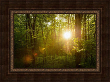 Load image into Gallery viewer, The Morning Breaks
