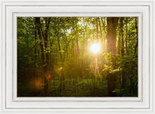 Load image into Gallery viewer, The Morning Breaks
