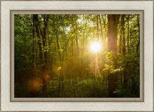 Load image into Gallery viewer, The Morning Breaks
