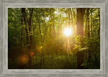 Load image into Gallery viewer, The Morning Breaks
