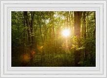 Load image into Gallery viewer, The Morning Breaks
