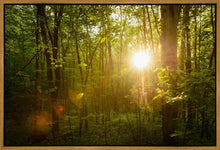Load image into Gallery viewer, The Morning Breaks
