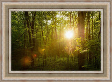 Load image into Gallery viewer, The Morning Breaks
