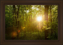 Load image into Gallery viewer, The Morning Breaks
