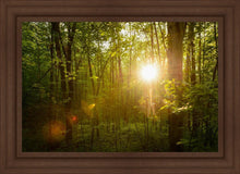 Load image into Gallery viewer, The Morning Breaks
