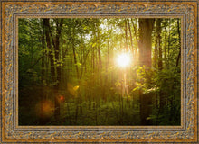Load image into Gallery viewer, The Morning Breaks
