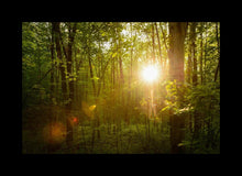 Load image into Gallery viewer, The Morning Breaks
