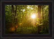 Load image into Gallery viewer, The Morning Breaks

