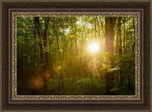 Load image into Gallery viewer, The Morning Breaks

