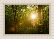 Load image into Gallery viewer, The Morning Breaks
