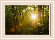 Load image into Gallery viewer, The Morning Breaks
