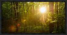 Load image into Gallery viewer, The Morning Breaks
