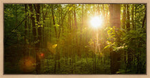 Load image into Gallery viewer, The Morning Breaks

