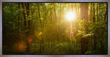 Load image into Gallery viewer, The Morning Breaks
