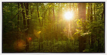 Load image into Gallery viewer, The Morning Breaks

