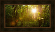Load image into Gallery viewer, The Morning Breaks
