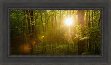 Load image into Gallery viewer, The Morning Breaks
