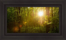Load image into Gallery viewer, The Morning Breaks
